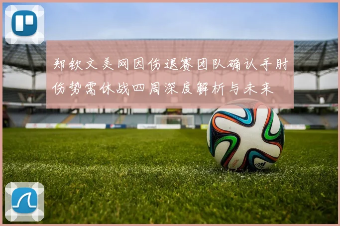 郑钦文美网因伤退赛团队确认手肘伤势需休战四周深度解析与未来