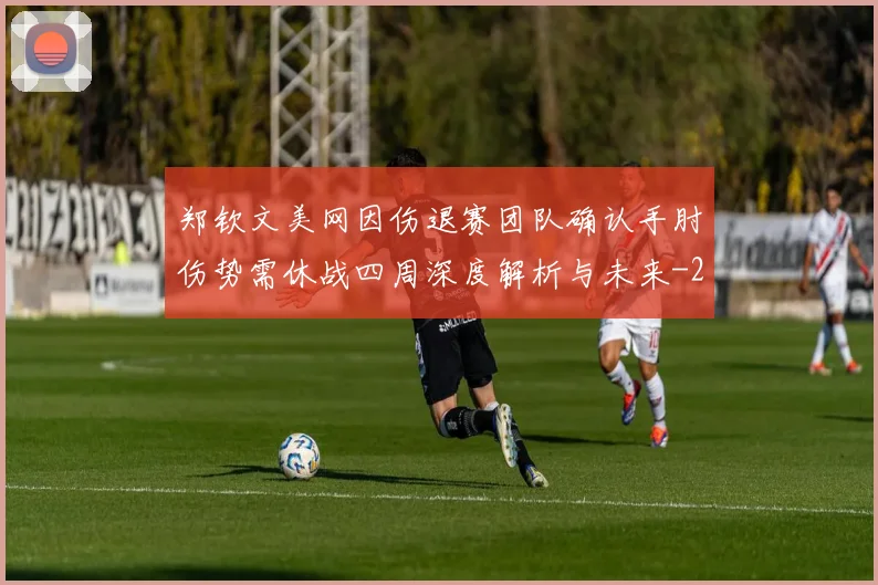 郑钦文美网因伤退赛团队确认手肘伤势需休战四周深度解析与未来